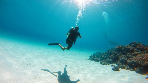 Las mejores escuelas y vivencias de buceo en España