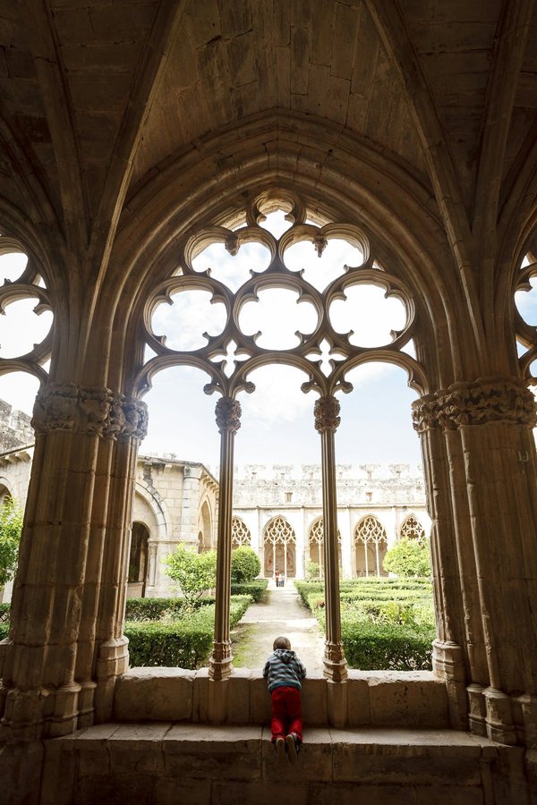 ¿Cuáles son las señales de que mi perro necesita un chequeo veterinario?