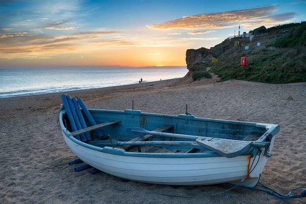 ¿Qué estrategias utilizar para mantener las plantas saludables durante el invierno?